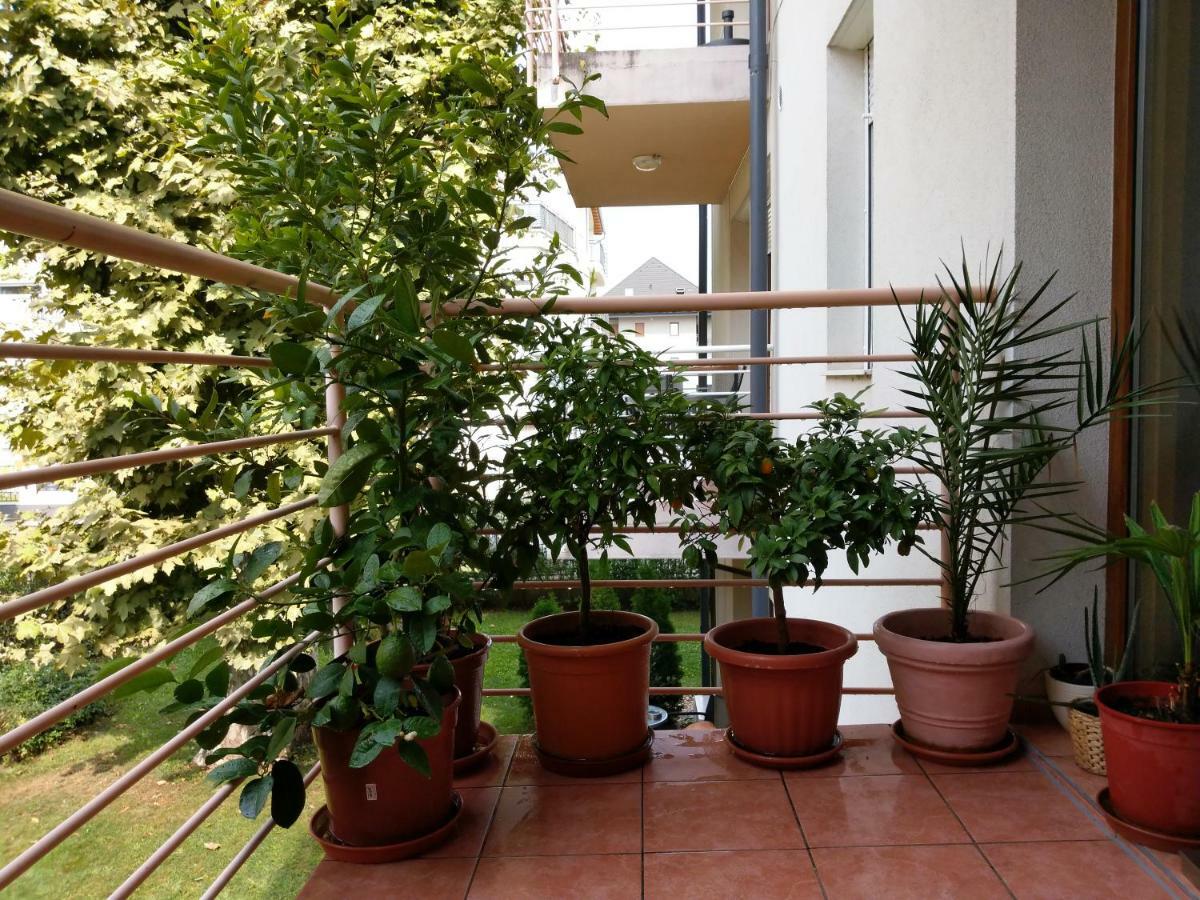 Mandarin Wellness Apartman Siofok Luaran gambar